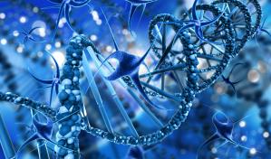 Usan nanomateriales para desvelar el origen de los elementos más pesados del Universo