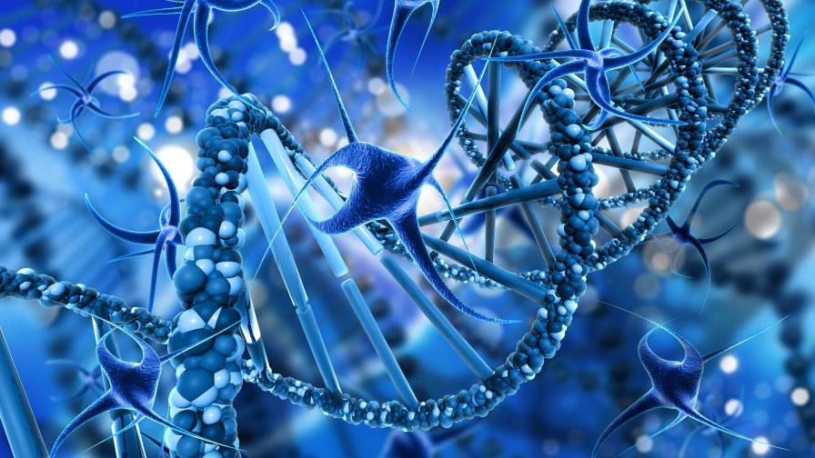 Usan nanomateriales para desvelar el origen de los elementos más pesados del Universo Usan nanomateriales para desvelar el origen de los elementos más pesados del Universo