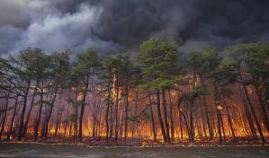 Un joven de 19 años acusado de provocar incendio forestal en Nueva Jersey