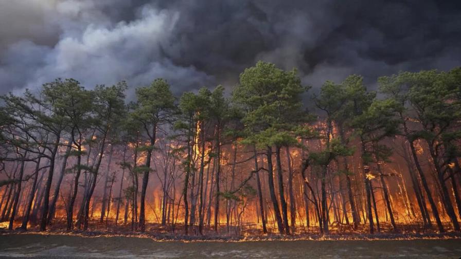 Un joven de 19 años acusado de provocar incendio forestal en Nueva Jersey Un joven de 19 años acusado de provocar incendio forestal en Nueva Jersey