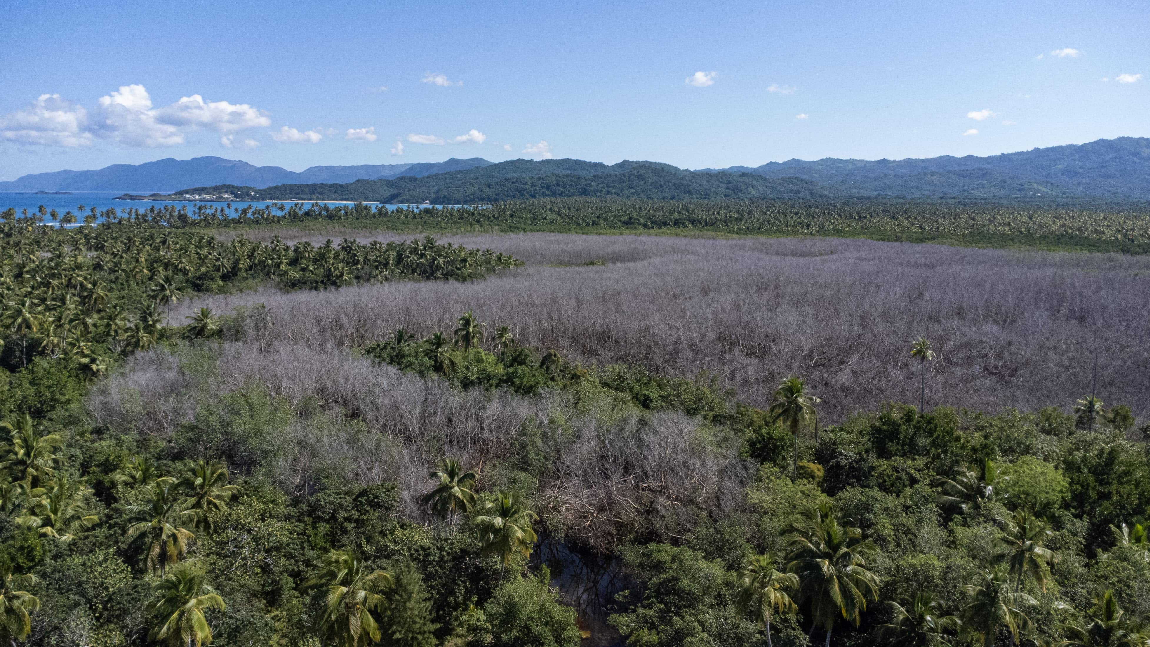 [object HTMLTextAreaElement]