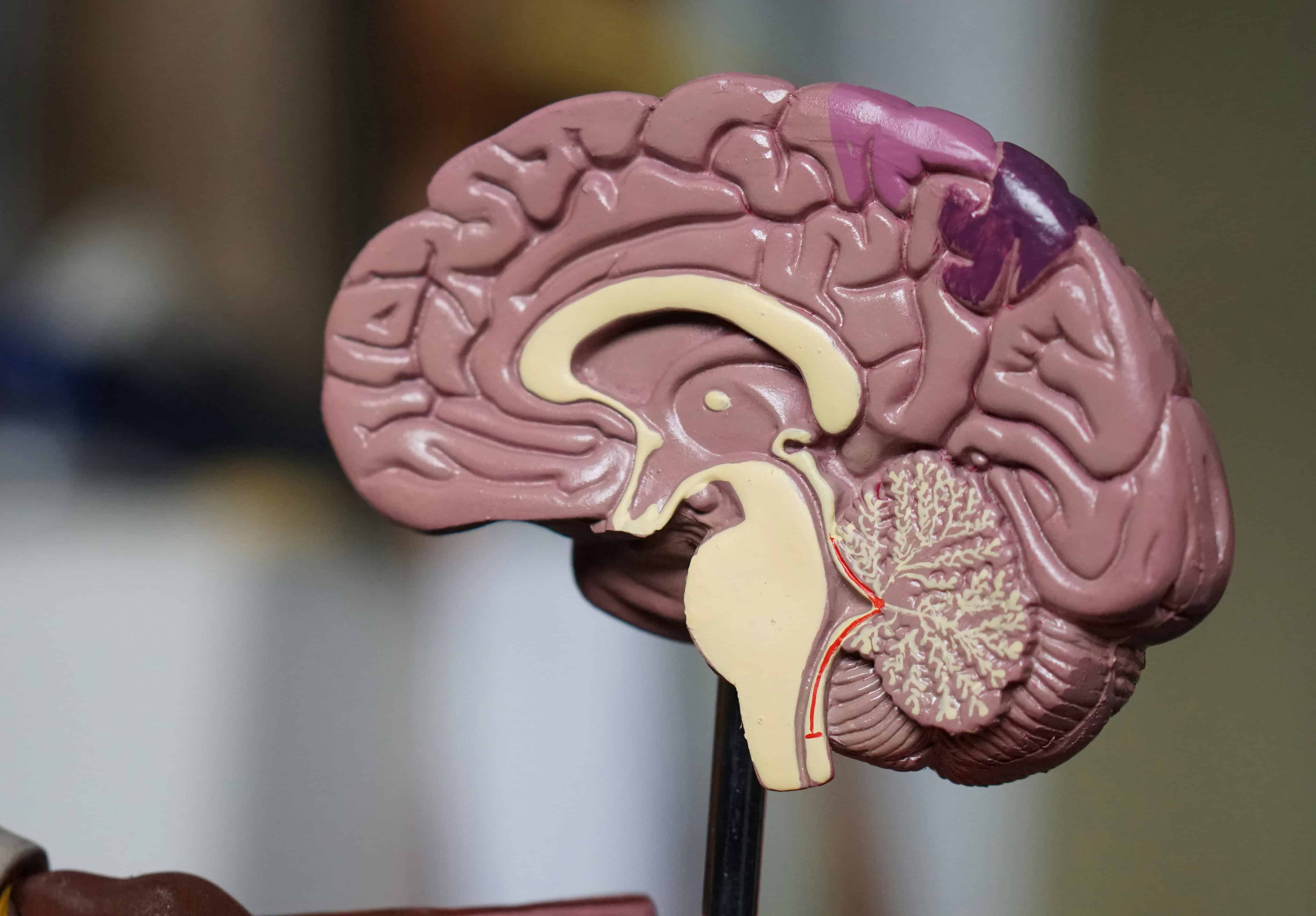 [object HTMLTextAreaElement]