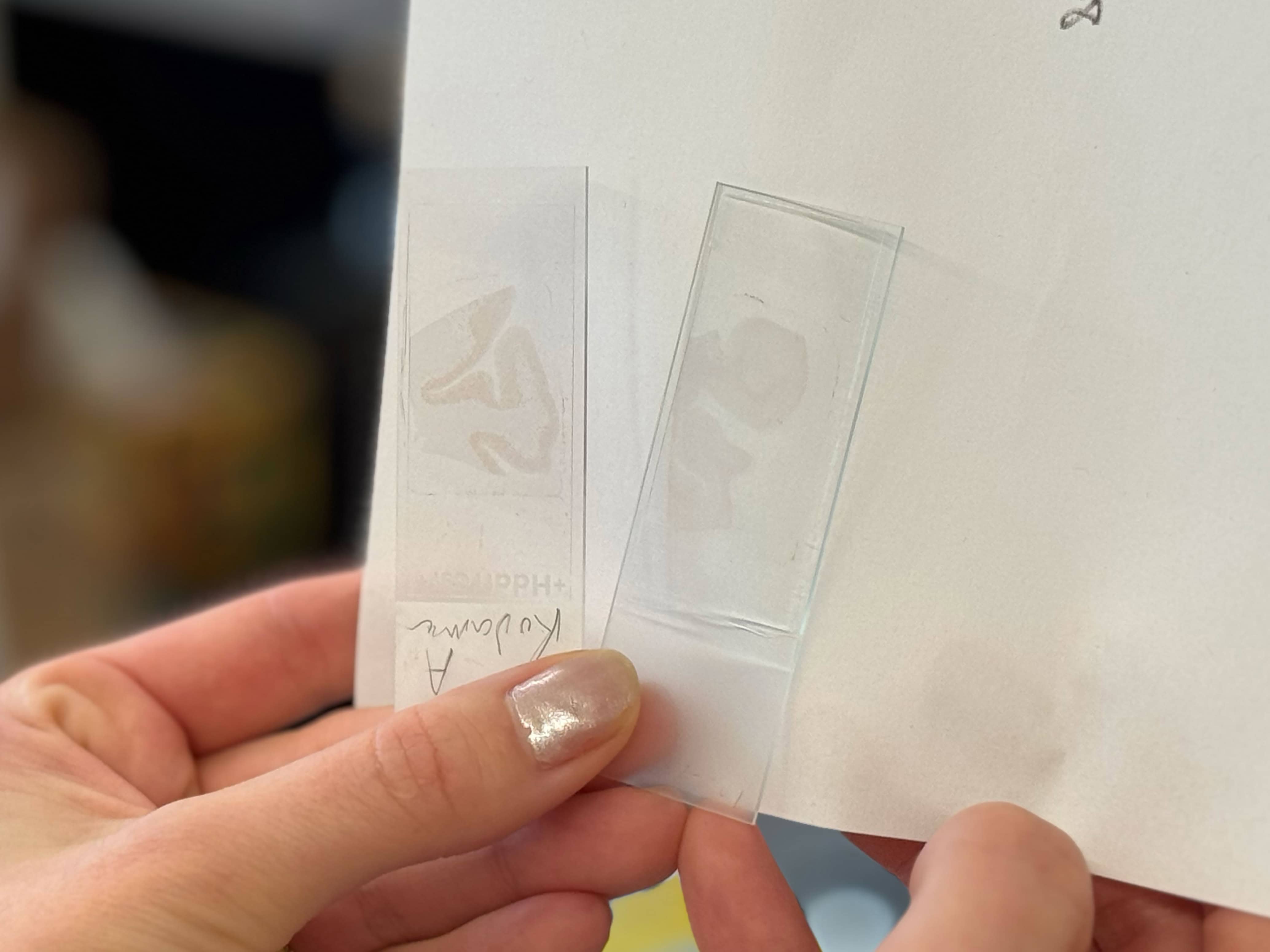 [object HTMLTextAreaElement]