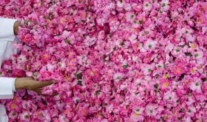 La ciudad de las rosas, el secreto de la fragancia del desierto saudita