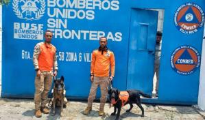 La Defensa Civil capacita a su unidad canina en Guatemala para seguir salvando vidas