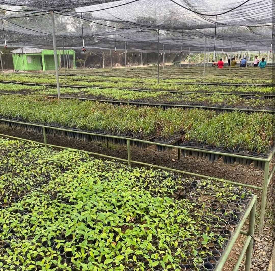 [object HTMLTextAreaElement]