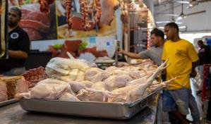 El sector avícola dominicano produce más de 750,000 pollos y 10.8 millones de huevos diariamente