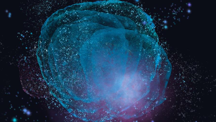 Descubren una vasta nube molecular cerca del Sistema Solar que no se había visto antes Descubren una vasta nube molecular cerca del Sistema Solar que no se había visto antes
