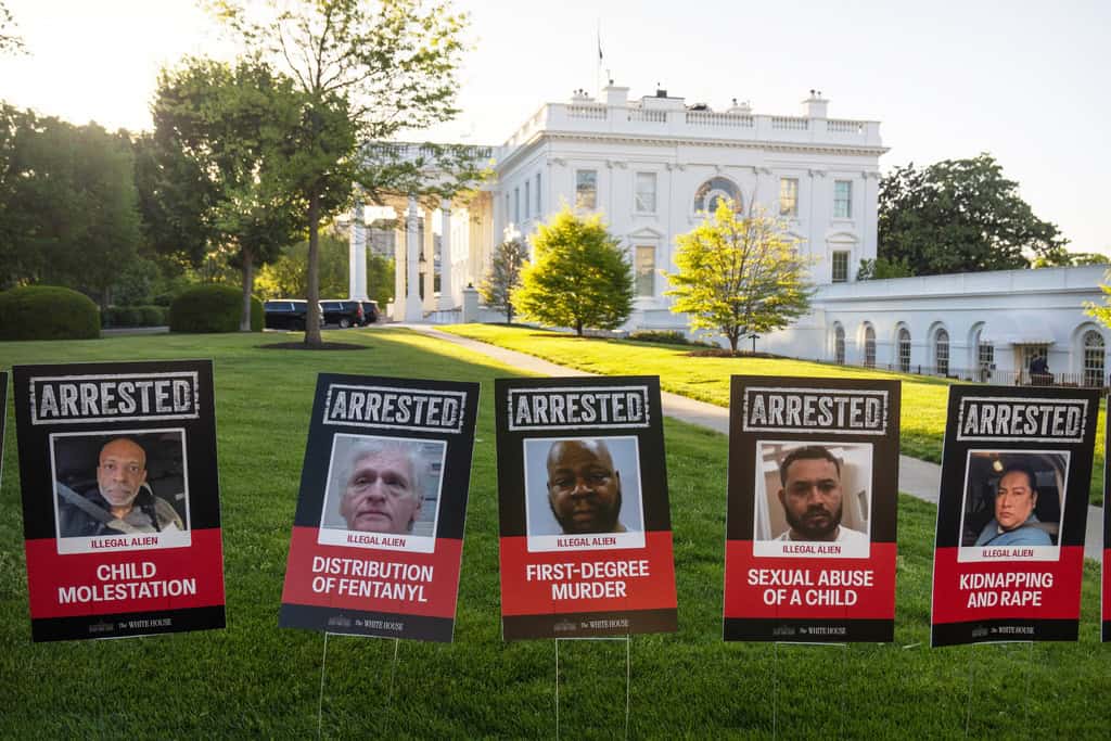 Carteles con fotos de inmigrantes ilegales arrestados se alinean en la entrada de la Casa Blanca antes de una conferencia de prensa a cargo de la secretaria de prensa de la Casa Blanca, Karoline Leavitt, y el zar fronterizo de la Casa Blanca, Tom Homan, el lunes 28 de abril de 2025 en Washington. 
