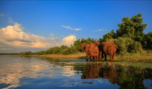 Hoy es lunes 19 de mayo del 2025