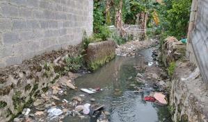 Familias de Los Platanitos abandonan sus hogares por las inundaciones