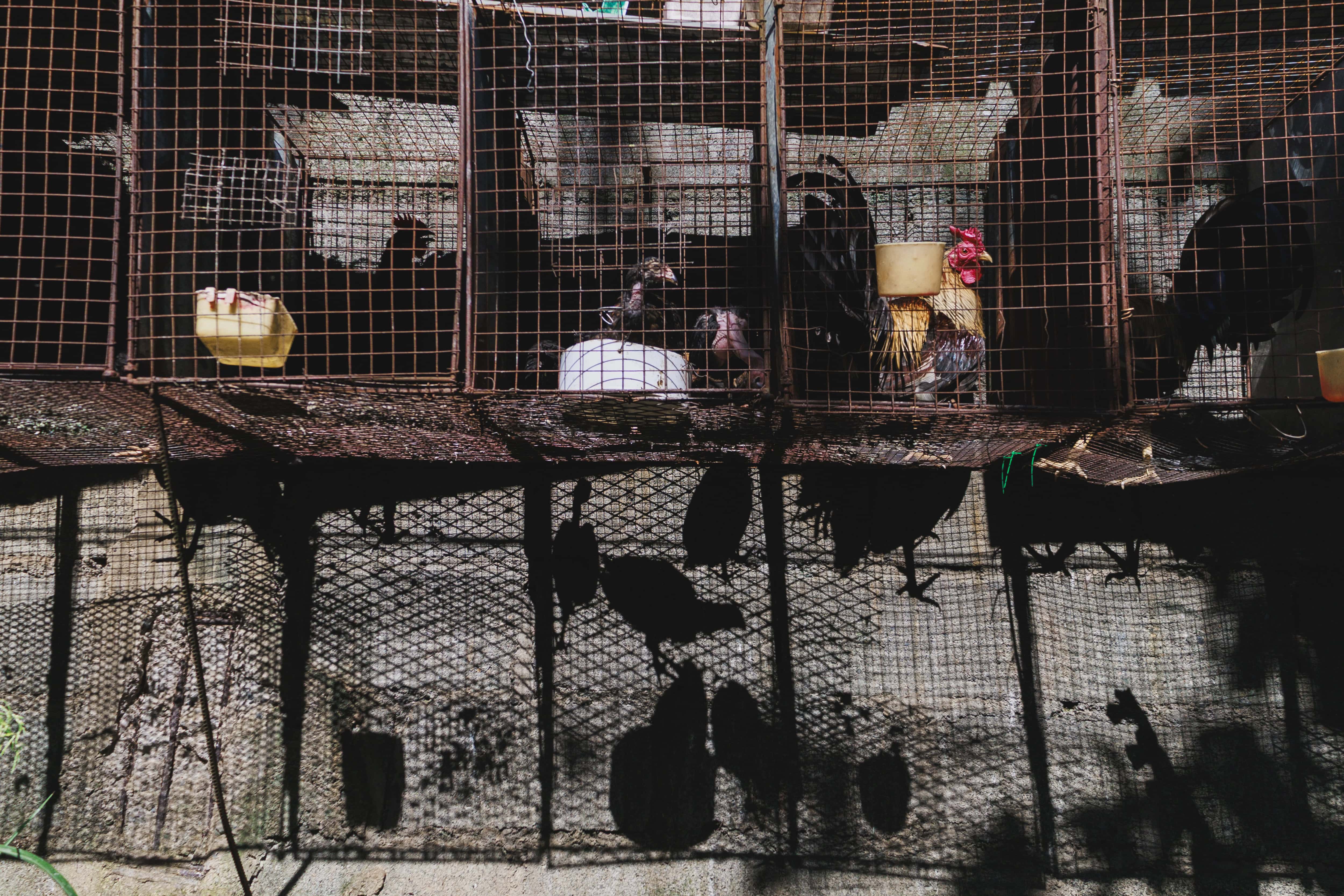 [object HTMLTextAreaElement]