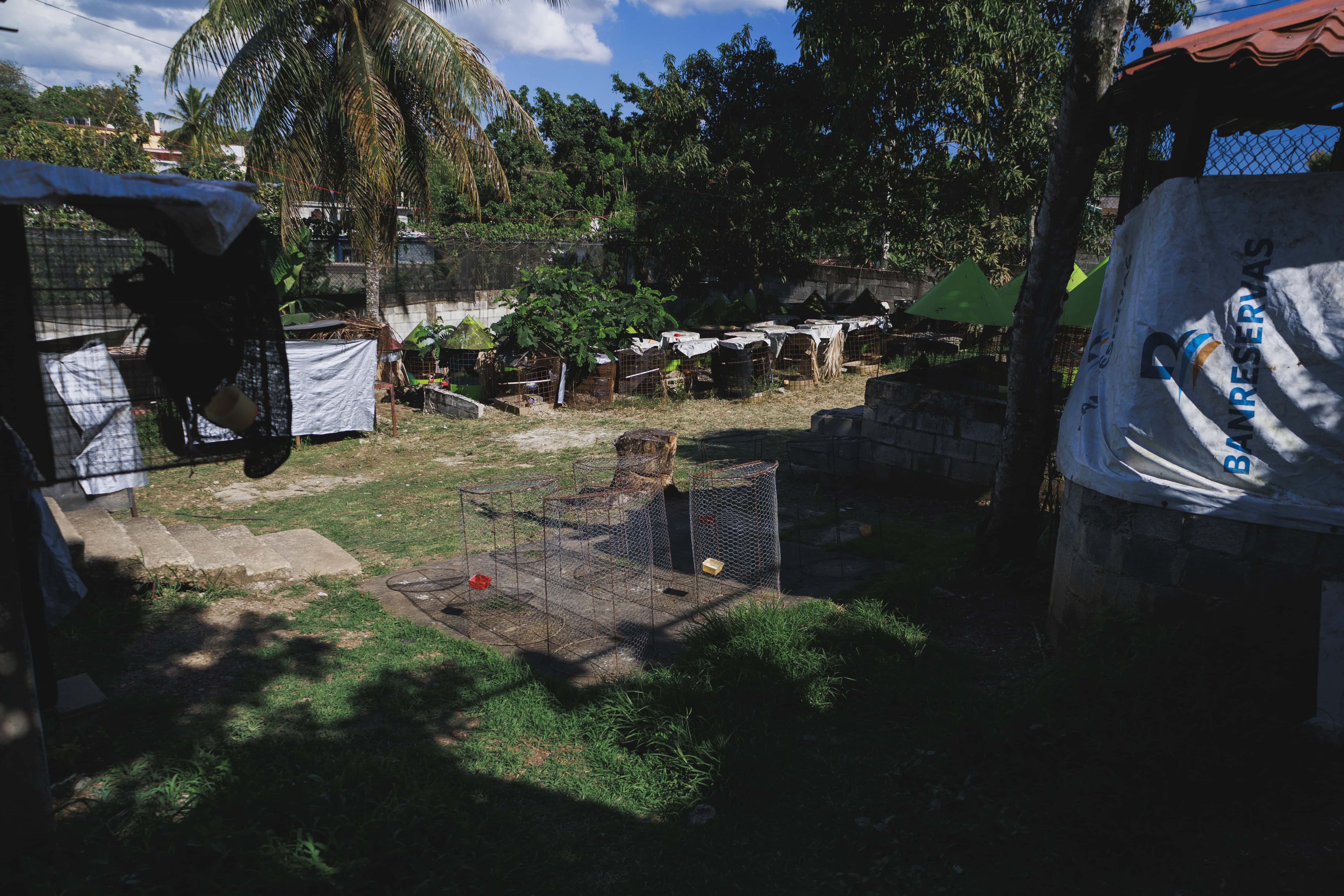 [object HTMLTextAreaElement]