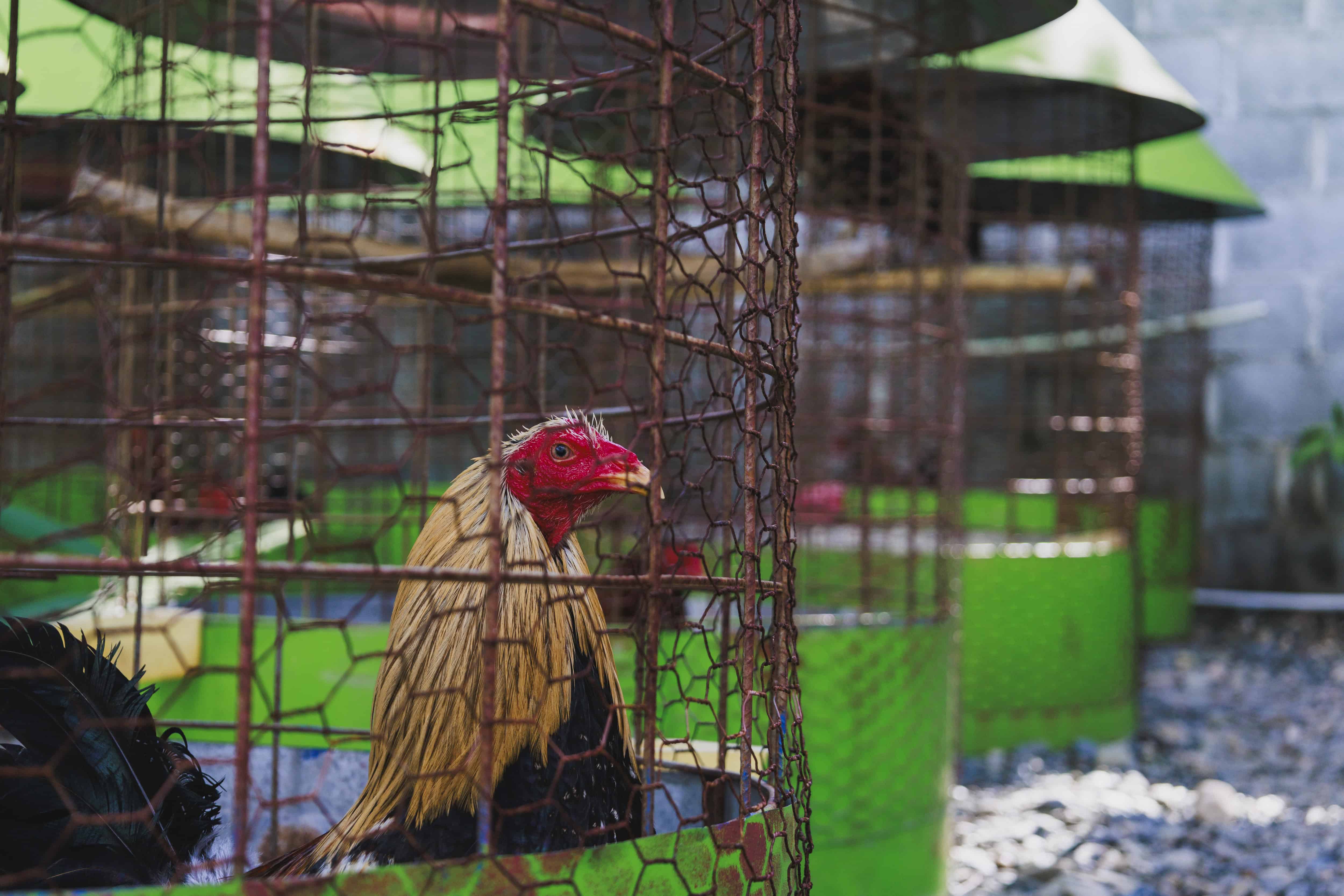 [object HTMLTextAreaElement]