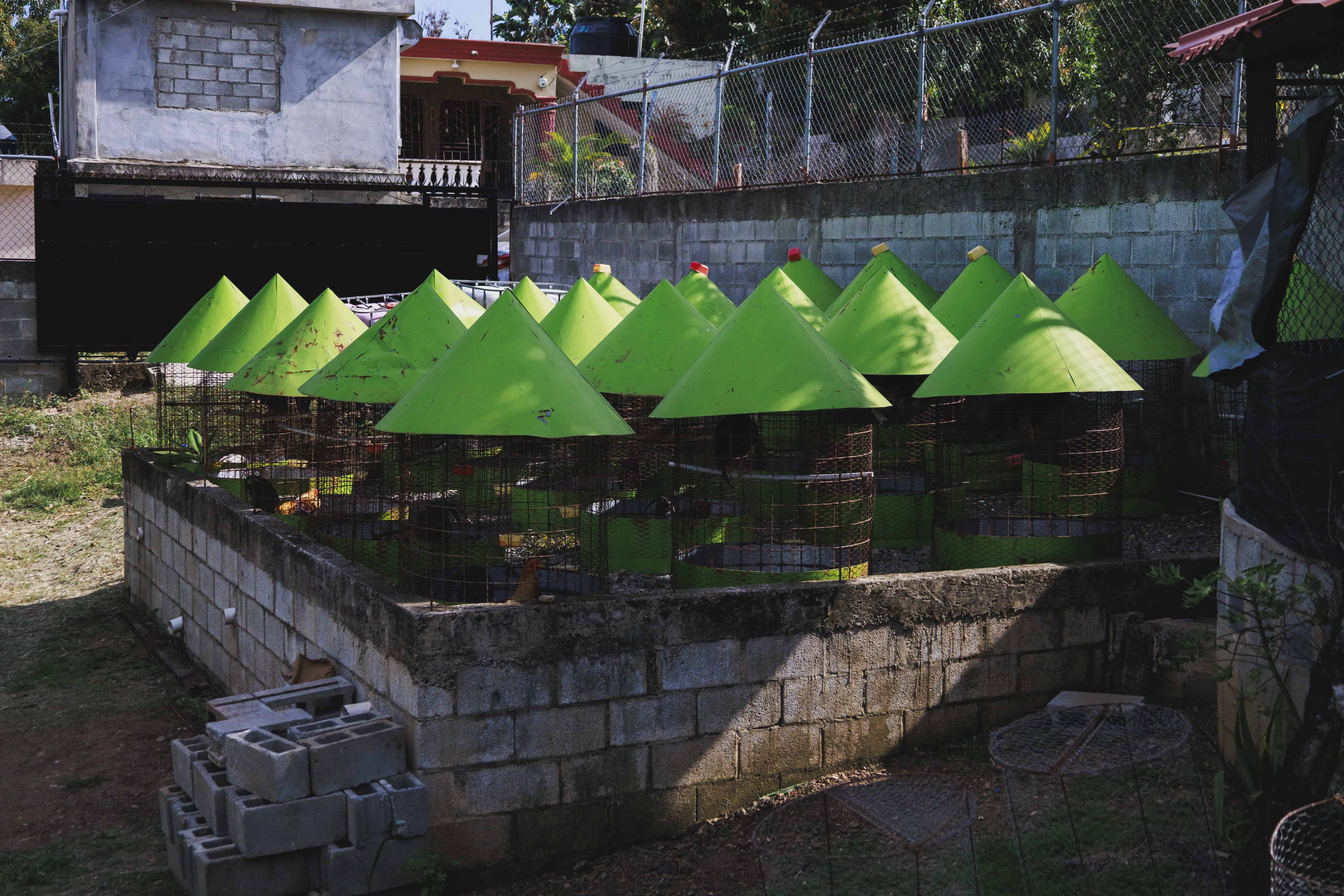 [object HTMLTextAreaElement]