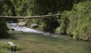 Un mes de búsqueda incesante tras el rastro del niño Roldanis Calderón