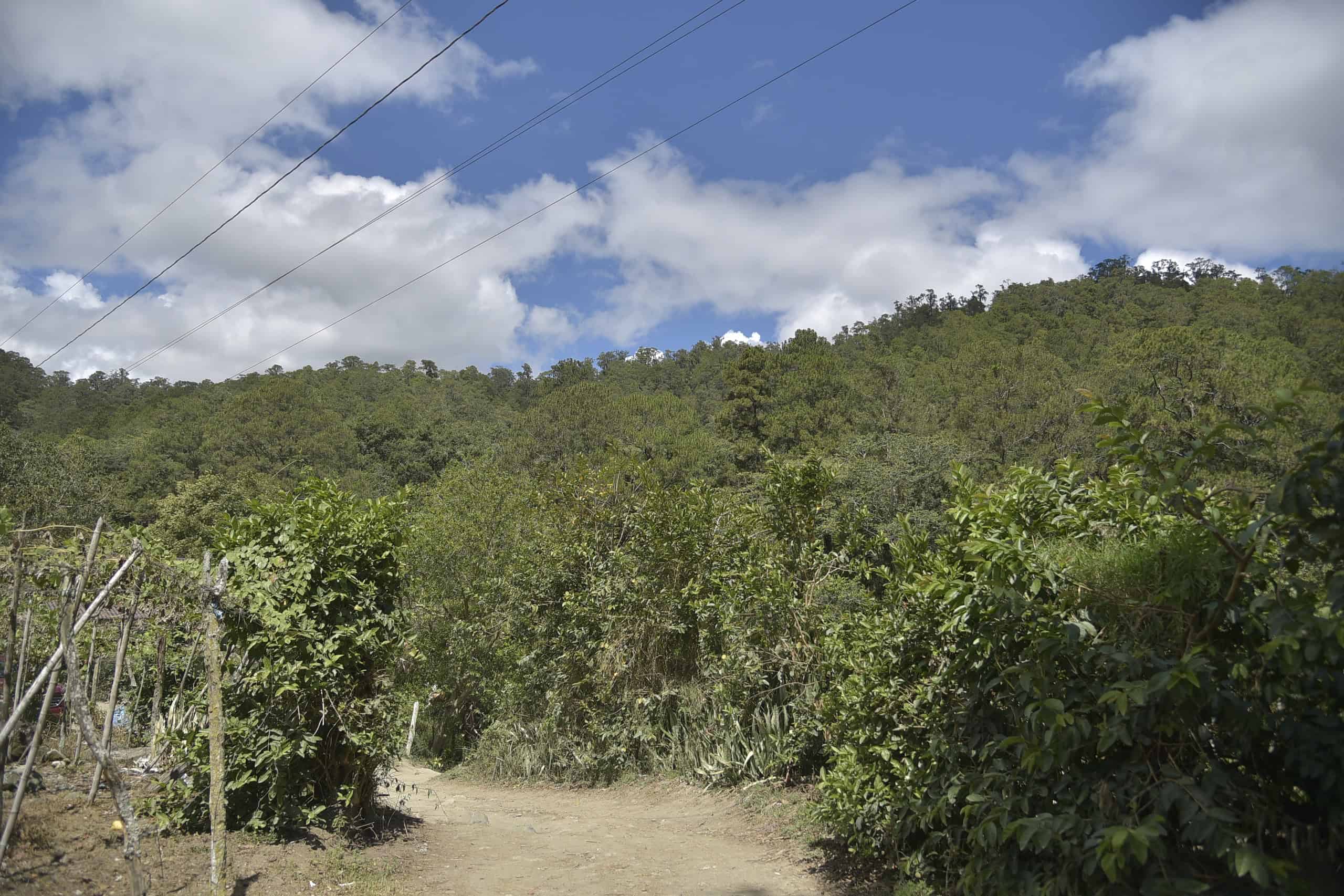 La búsqueda ha abarcado zonas del Parque Nacional J. Armando Bermúdez.