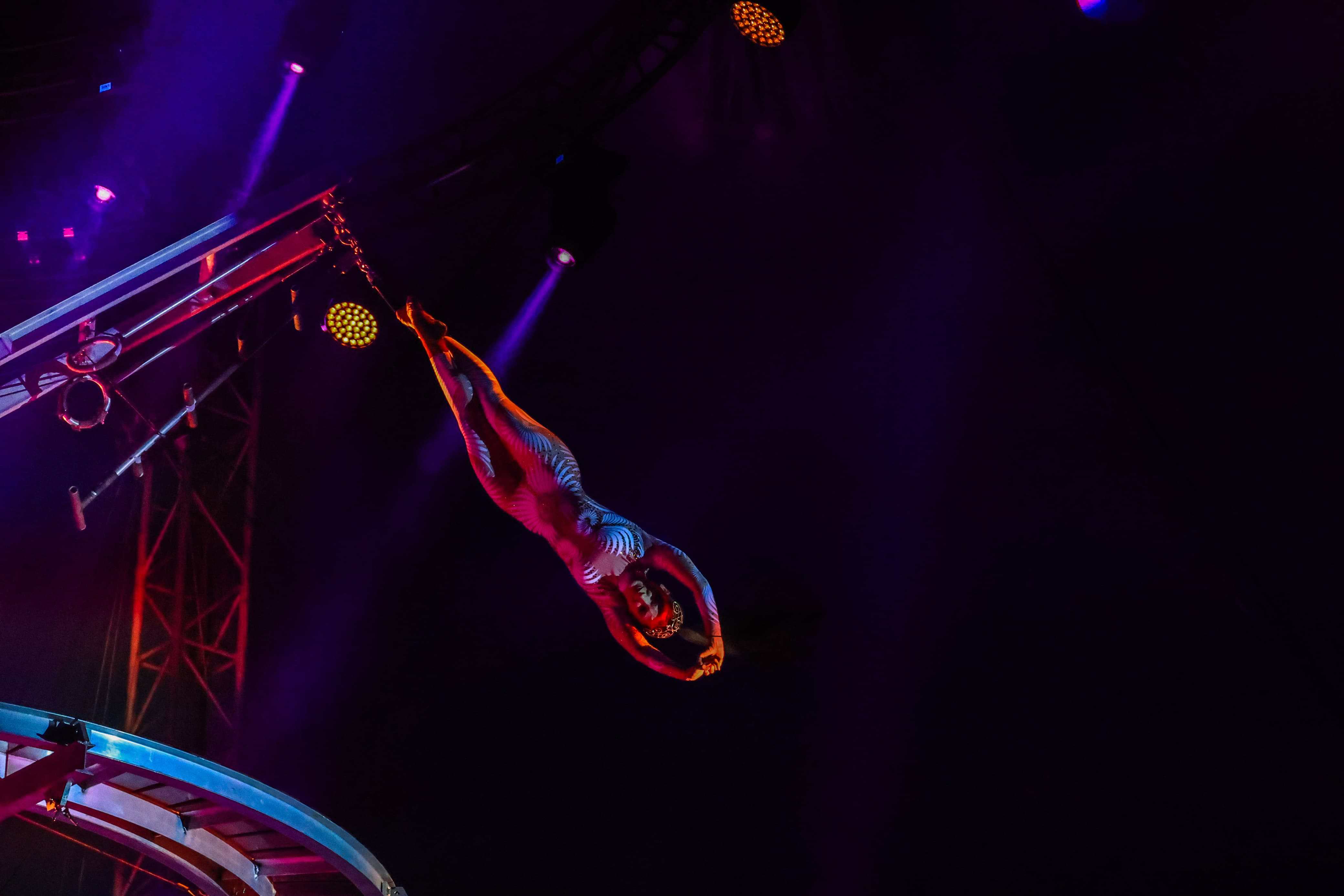 Luces, magia y acrobacias en el circo.