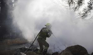 Varios países envían aviones a Israel para ayudar a combatir un gran incendio forestal