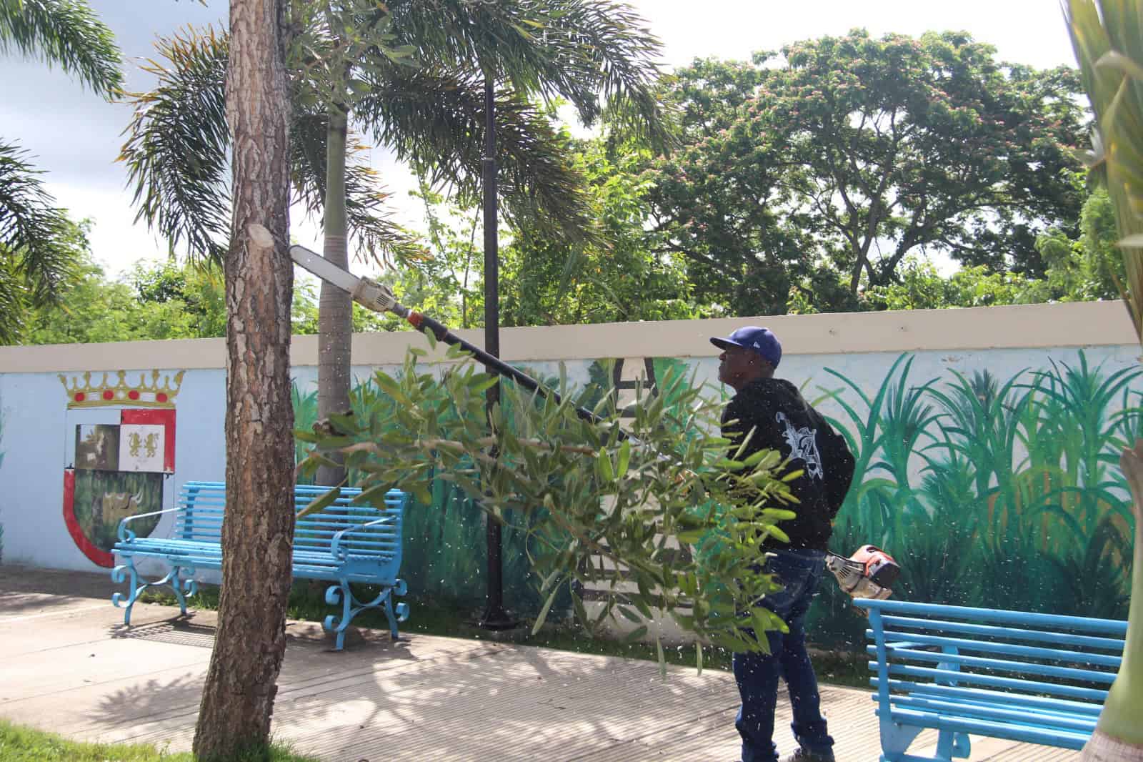 Un brigadista de la Digecac al podar un árbol.