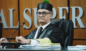 El PLD defenderá ante el TSE la elección temprana de su candidato presidencial