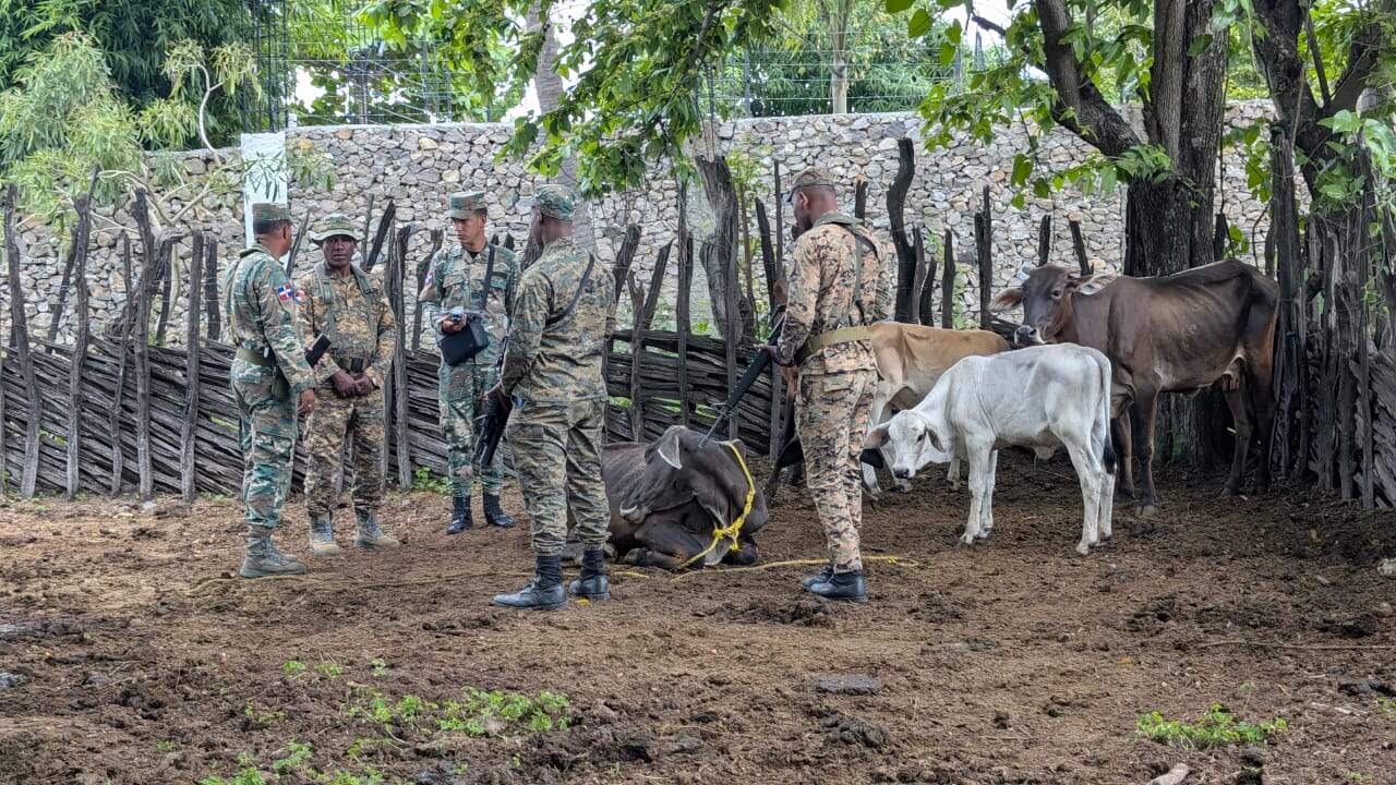 [object HTMLTextAreaElement]