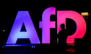 Agencia de Inteligencia califica a Alternativa para Alemania de partido "extremista de derecha"
