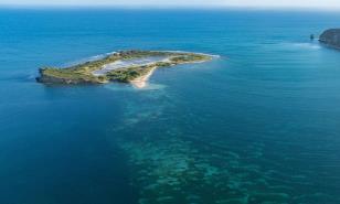 «Nosotros somos el océano» «Nosotros somos el océano»