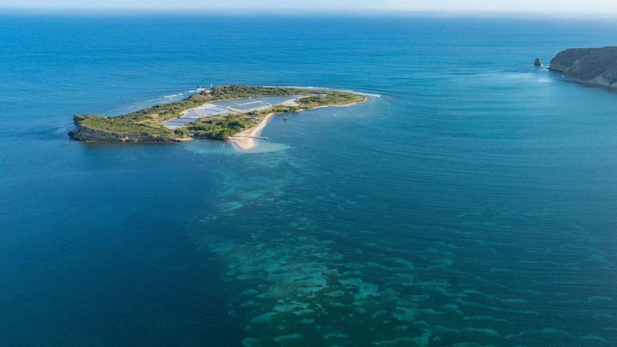 «Nosotros somos el océano»