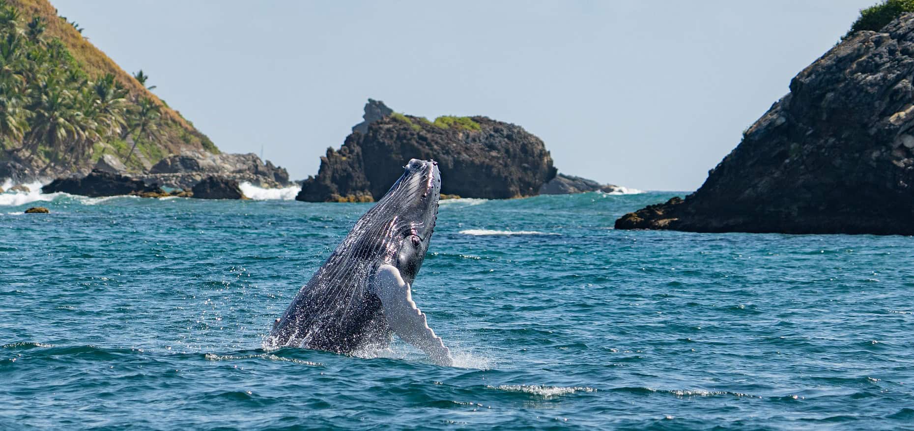 [object HTMLTextAreaElement]