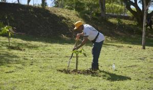 Pucmm realiza jornada de reforestación en homenaje al Papa Francisco y en el marco del Día del Árbol