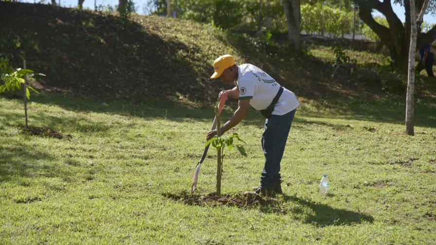Pucmm realiza jornada de reforestación en homenaje al Papa Francisco y en el marco del Día del Árbol Pucmm realiza jornada de reforestación en homenaje al Papa Francisco y en el marco del Día del Árbol