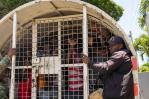 530 haitianos son repatriados desde Bávaro hacia distintos puntos fronterizos 