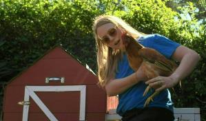 Alquiler de gallinas se populariza en EE. UU. por alza del precio de los huevos