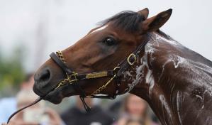 Este Derby de Kentucky podría ser ideal para corredores en lodo con un pronóstico de lluvia
