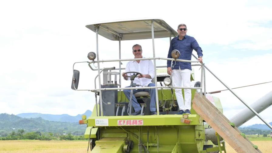 Presidente Abinader da inicio a cosecha de arroz 2025 con proyección récord y alta tecnología Presidente Abinader da inicio a cosecha de arroz 2025 con proyección récord y alta tecnología