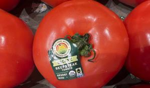 En medio de celebraciones por el 5 de Mayo, se avecina un arancel de EE. UU. sobre tomates mexicanos