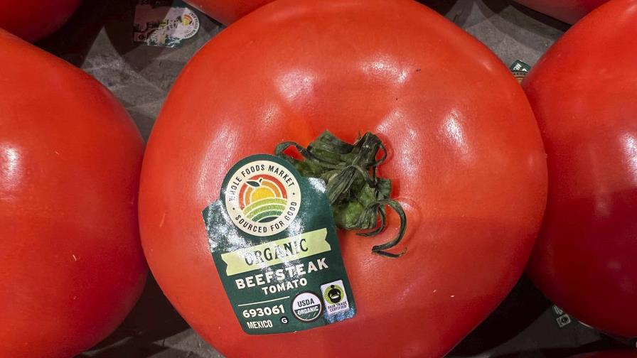 En medio de celebraciones por el 5 de Mayo, se avecina un arancel de EE. UU. sobre tomates mexicanos En medio de celebraciones por el 5 de Mayo, se avecina un arancel de EE. UU. sobre tomates mexicanos