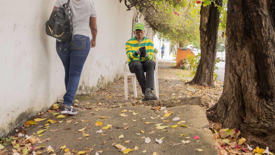 Accesibilidad olvidada: raíces y abandono en la vía pública Accesibilidad olvidada: raíces y abandono en la vía pública