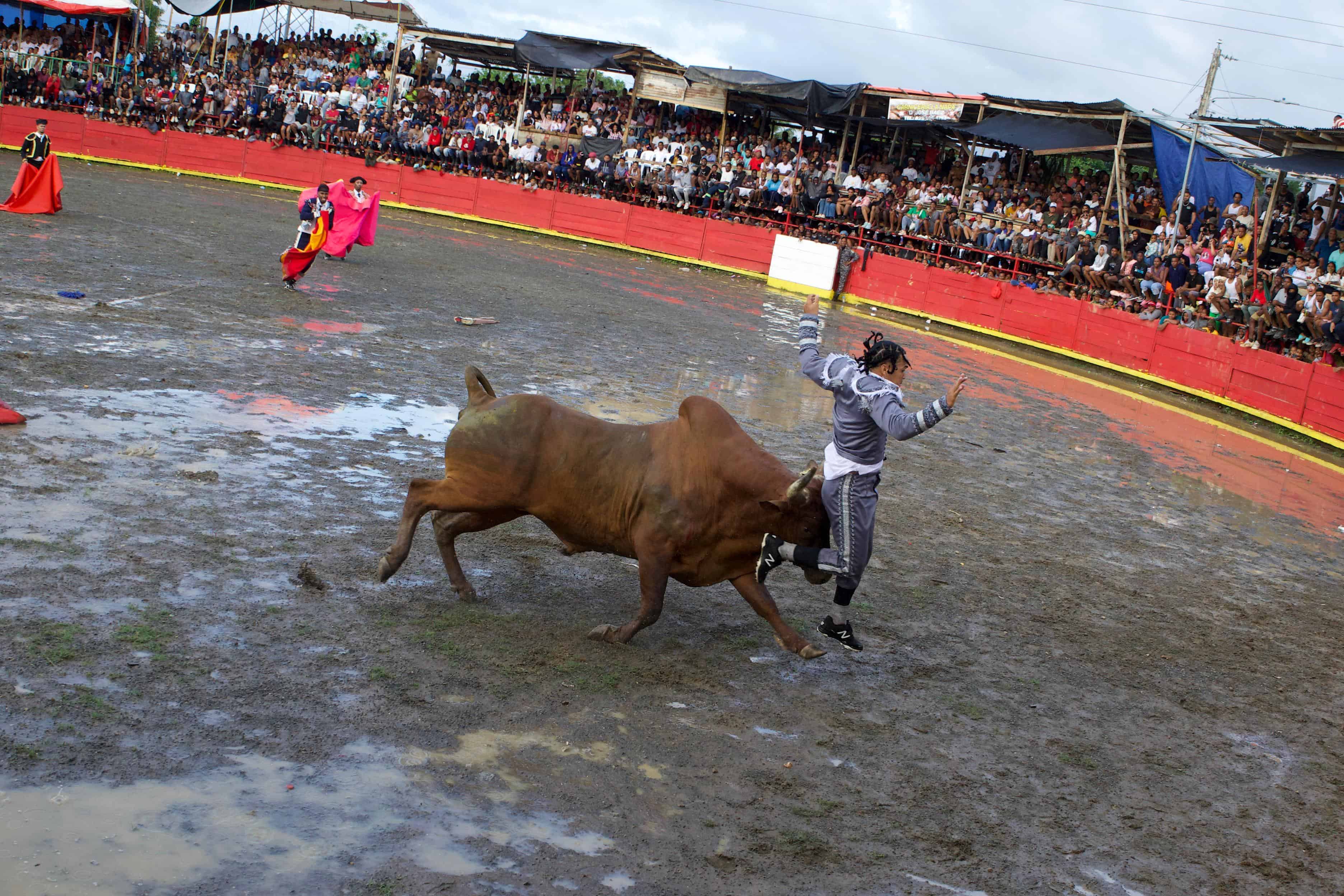 El torero Wilson García Hernández al ser embestido por un toro.