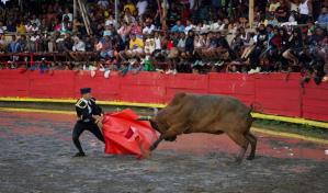 Entre fervor y cultura, arranca la tradicional corrida de toros en El Seibo Entre fervor y cultura, arranca la tradicional corrida de toros en El Seibo