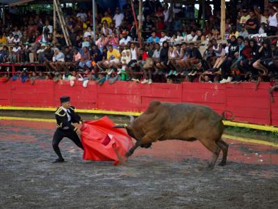 Inician fiestas en El Seibo con las tradicionales corridas de Toros