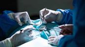 Trasplantan con &eacute;xito a un mono tejido pituitario humano cultivado en laboratorio