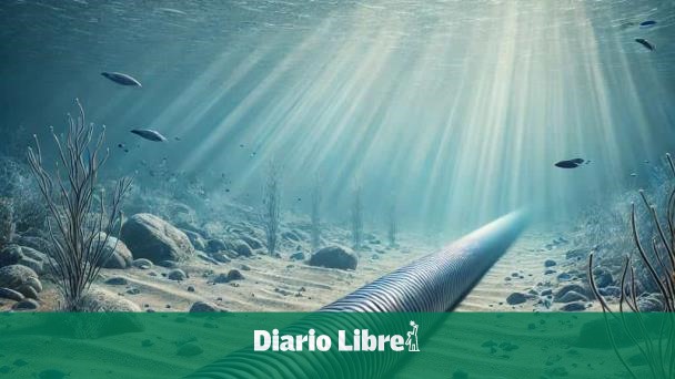 Por qué se quiere instalar una planta eléctrica en RD para Puerto Rico