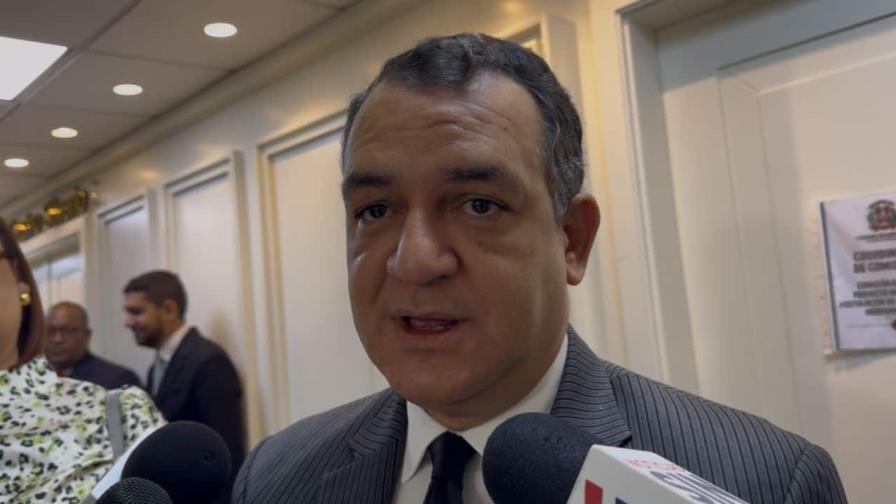 Román Jáquez: tribunales deben decidir sobre elección anticipada del PLD Román Jáquez: tribunales deben decidir sobre elección anticipada del PLD