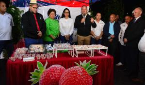 Constanza se pinta de rojo: Festival de las Fresas 2025 endulza el agroturismo Constanza se pinta de rojo: Festival de las Fresas 2025 endulza el agroturismo