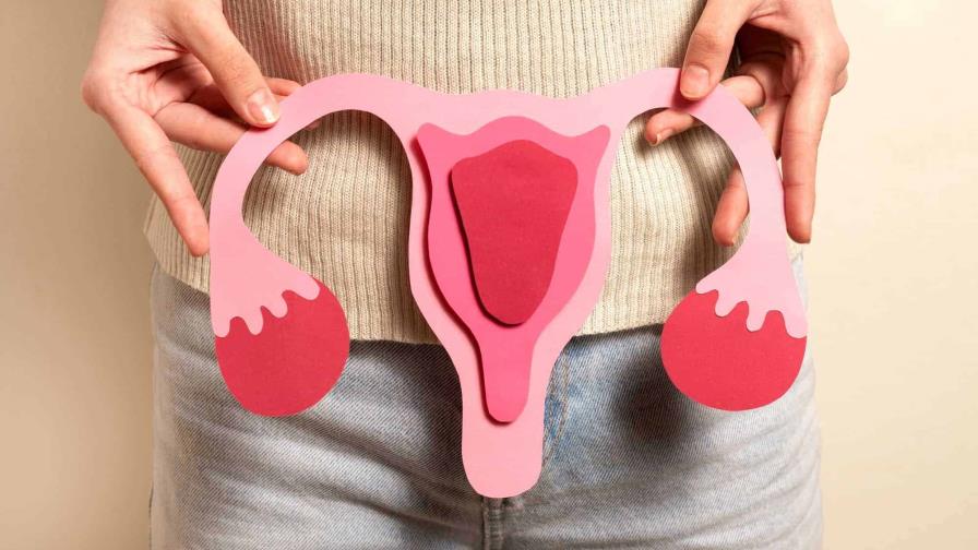 Día Mundial de la Lucha contra el Cáncer de Ovario: el reto de detectarlo a tiempo Día Mundial de la Lucha contra el Cáncer de Ovario: el reto de detectarlo a tiempo