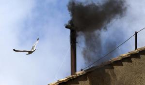 Las gaviotas, la otra imagen del cónclave que molesta en Roma