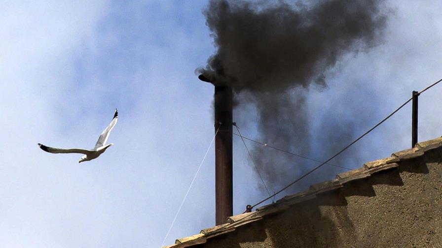 Las gaviotas, la otra imagen del cónclave que molesta en Roma Las gaviotas, la otra imagen del cónclave que molesta en Roma