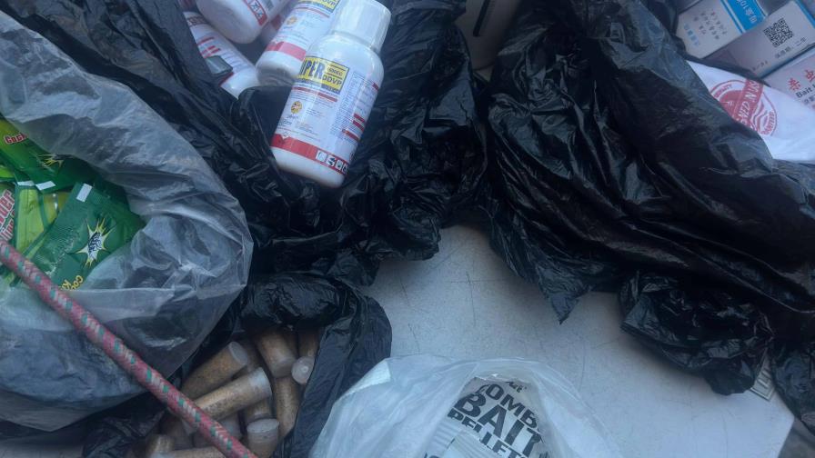 Dominicana que comercializa veneno para ratas en NY: "Yo vendo lo que puedo para sobrevivir Dominicana que comercializa veneno para ratas en NY: "Yo vendo lo que puedo para sobrevivir